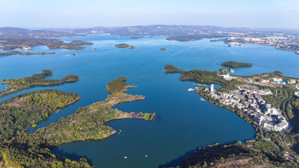 e7d2d16858cc5177059936699542197510.png_auth=86ccd64ca790cabbe99bab2a14562a46&scale=1