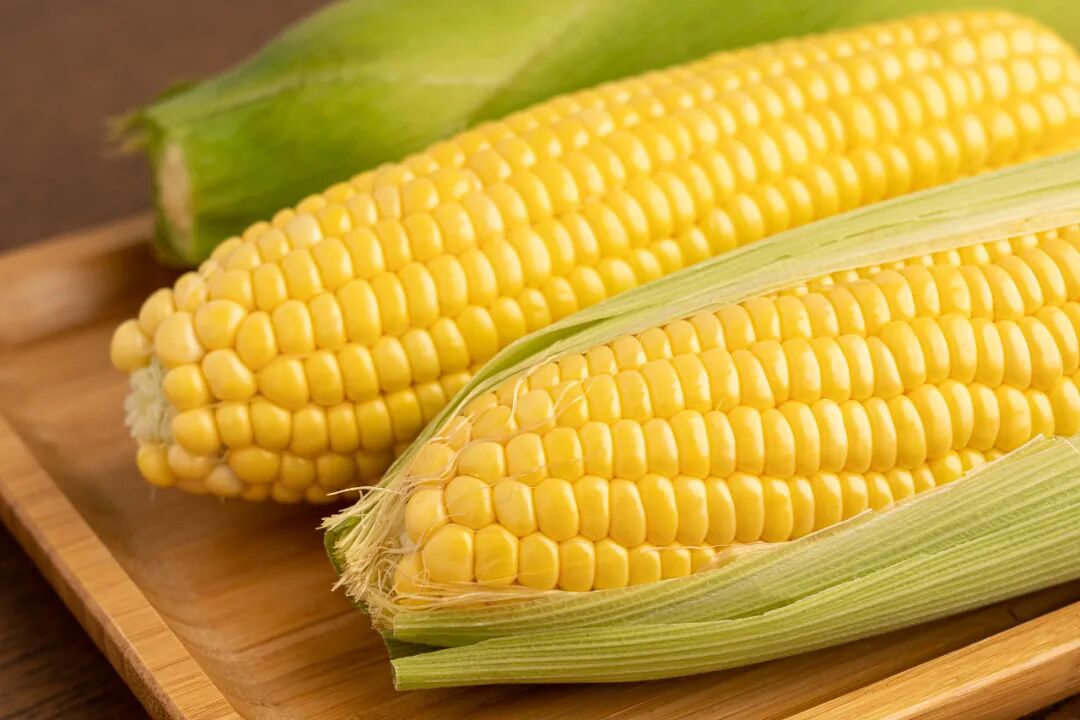 09b73fe6948f9a1a46a4d4cb17e1cf18