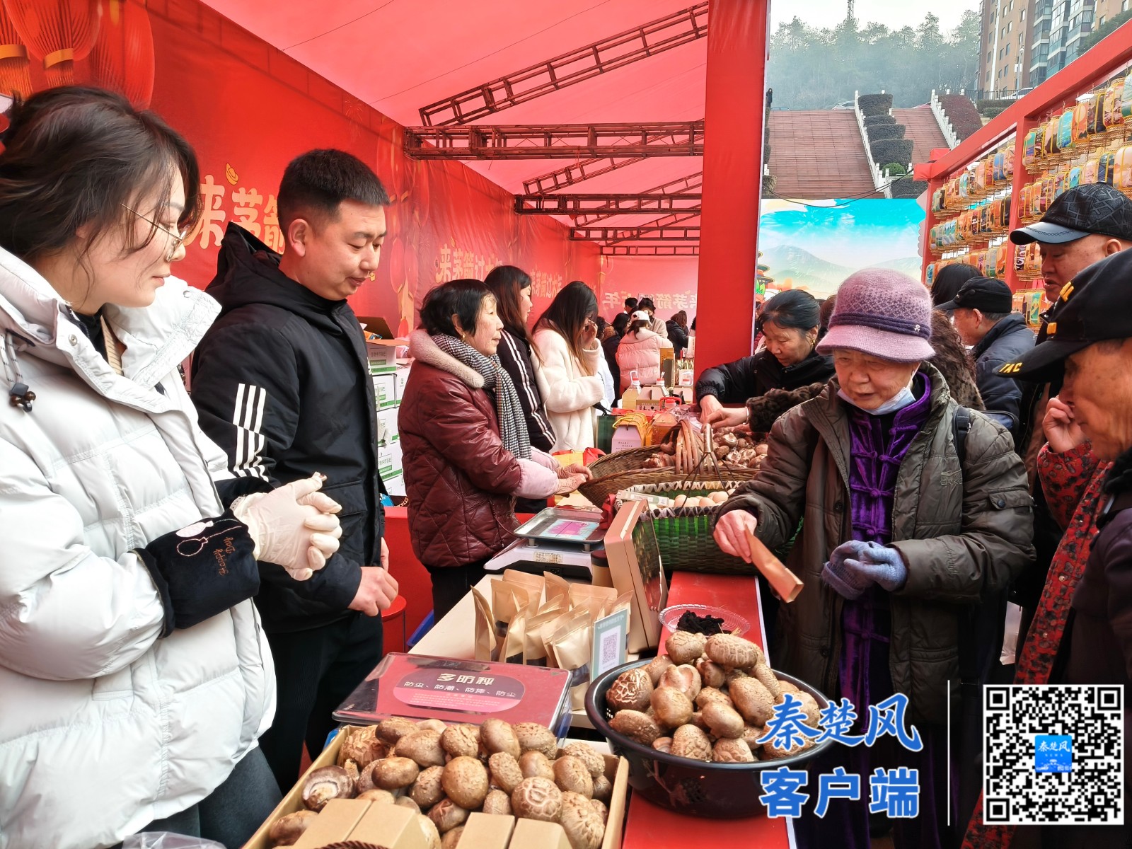 微信图片_2026-02-10_163255_835