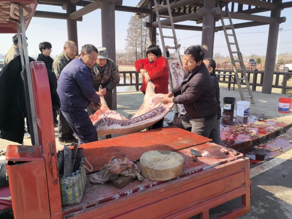 fc784fdffd5860e0021218a051998dd1