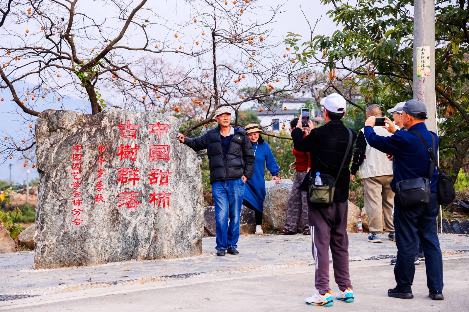 7bcbf03ff8b34d2832ae4e8837d49e96