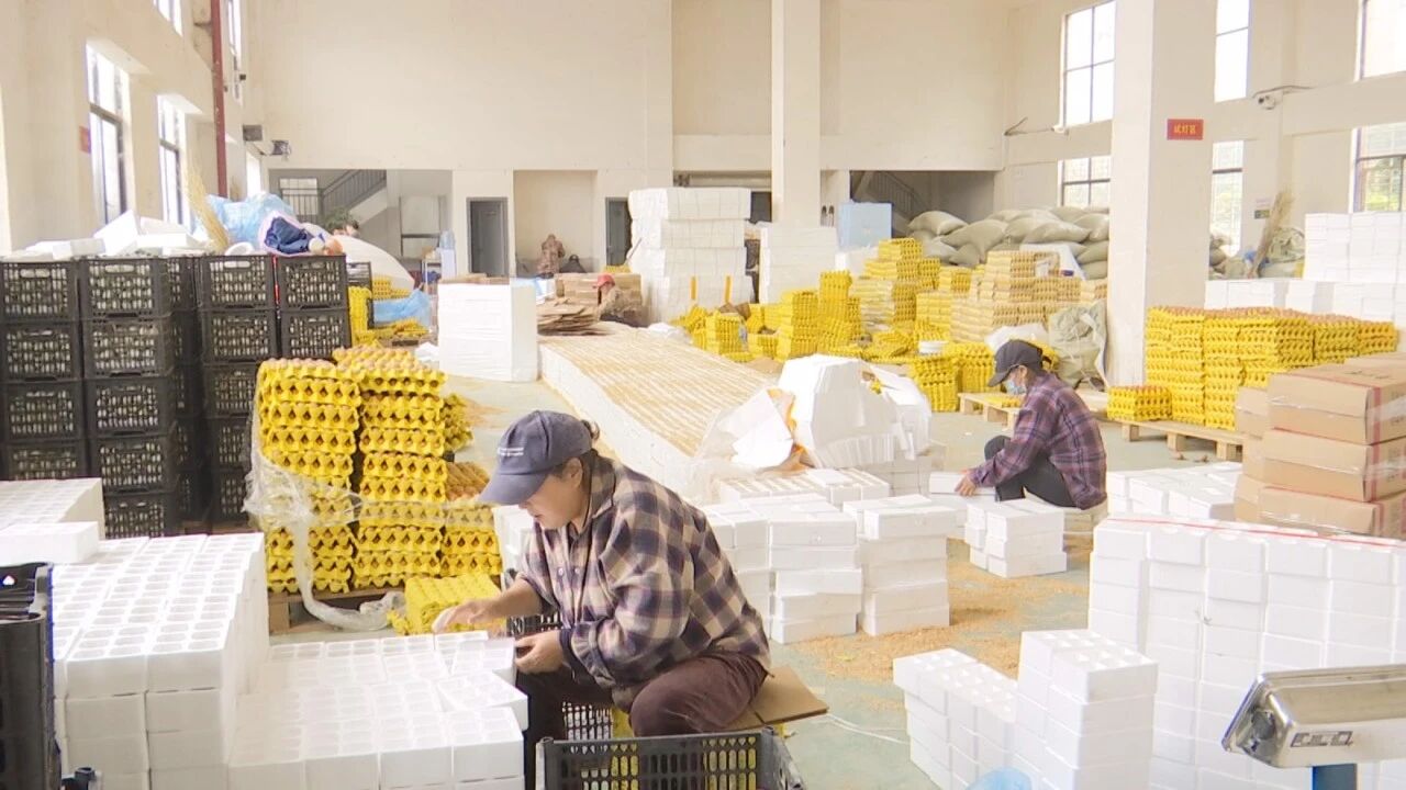 af91d586-2a50-4194-84ca-ab2ff7f1fa98_l