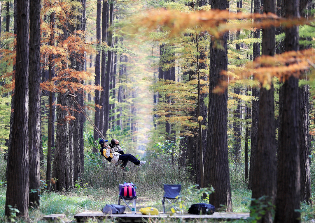 5a1ce410-7433-4aee-9a17-3d0cd326873b