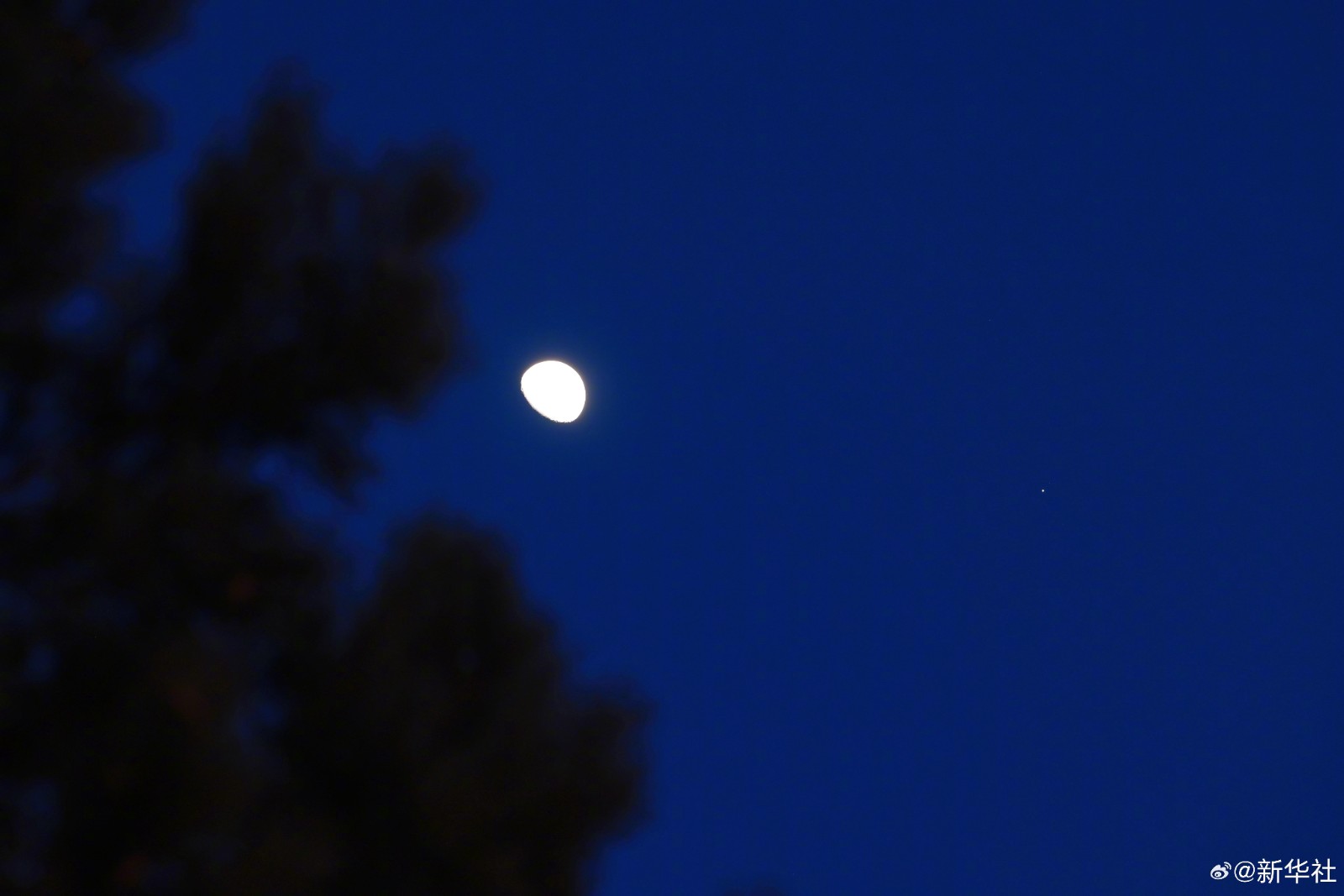 da8f3e76924aa60fadfa029f55113aaa