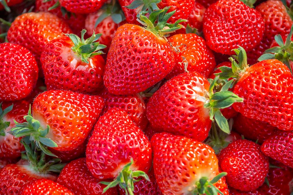 48a174fd4696b367262d7a59f103602f