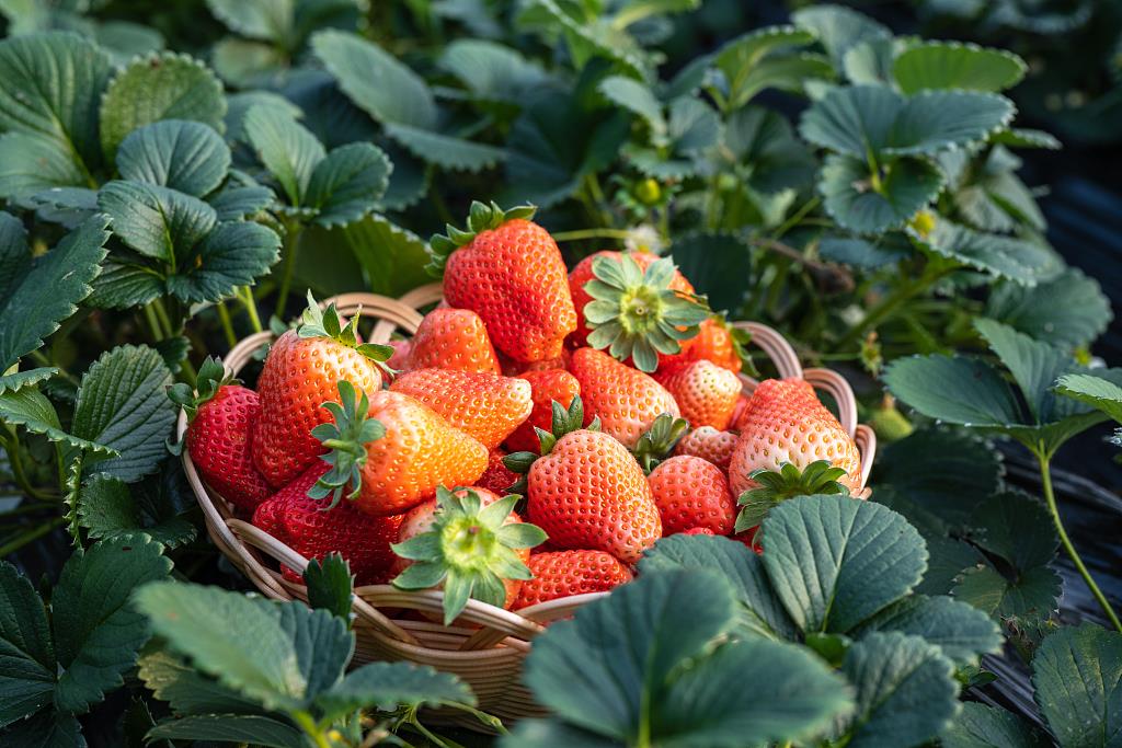 6599eda209fef1cf2467861fef9da064