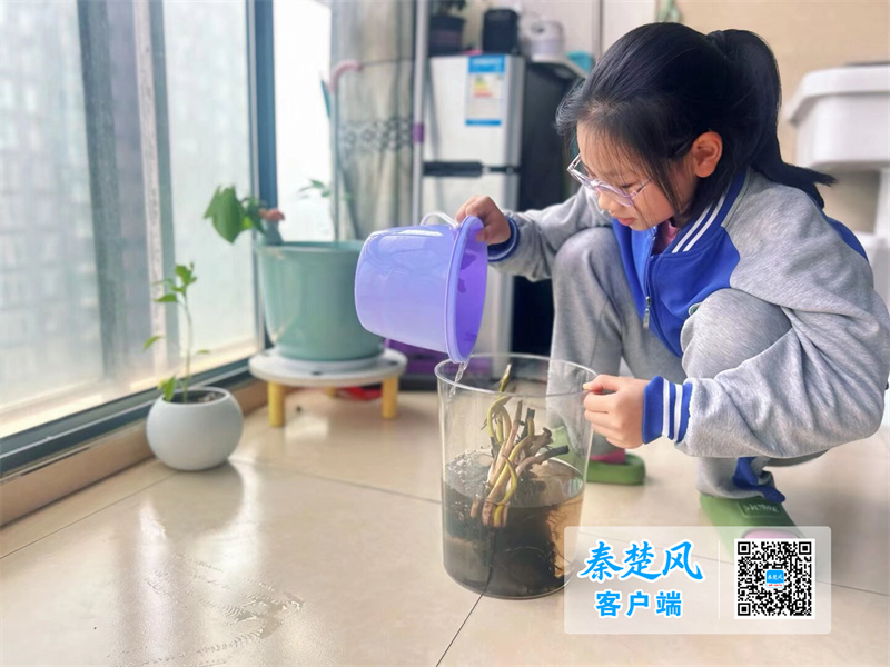微信图片_202606101659412_副本