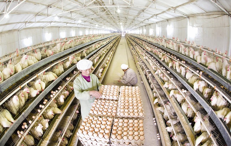 砥砺奋进谱华章 竹山县2017年经济社会发展回眸