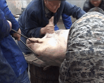 没想到《新闻联播》里,藏着十堰10年来春节的变迁.