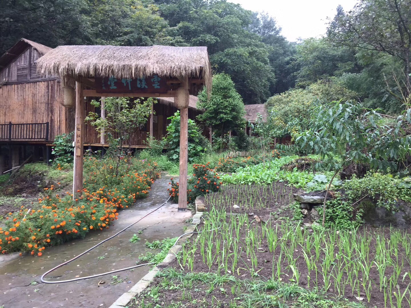 白云恋溪水 天籁养琴心 ——云溪草堂采访记