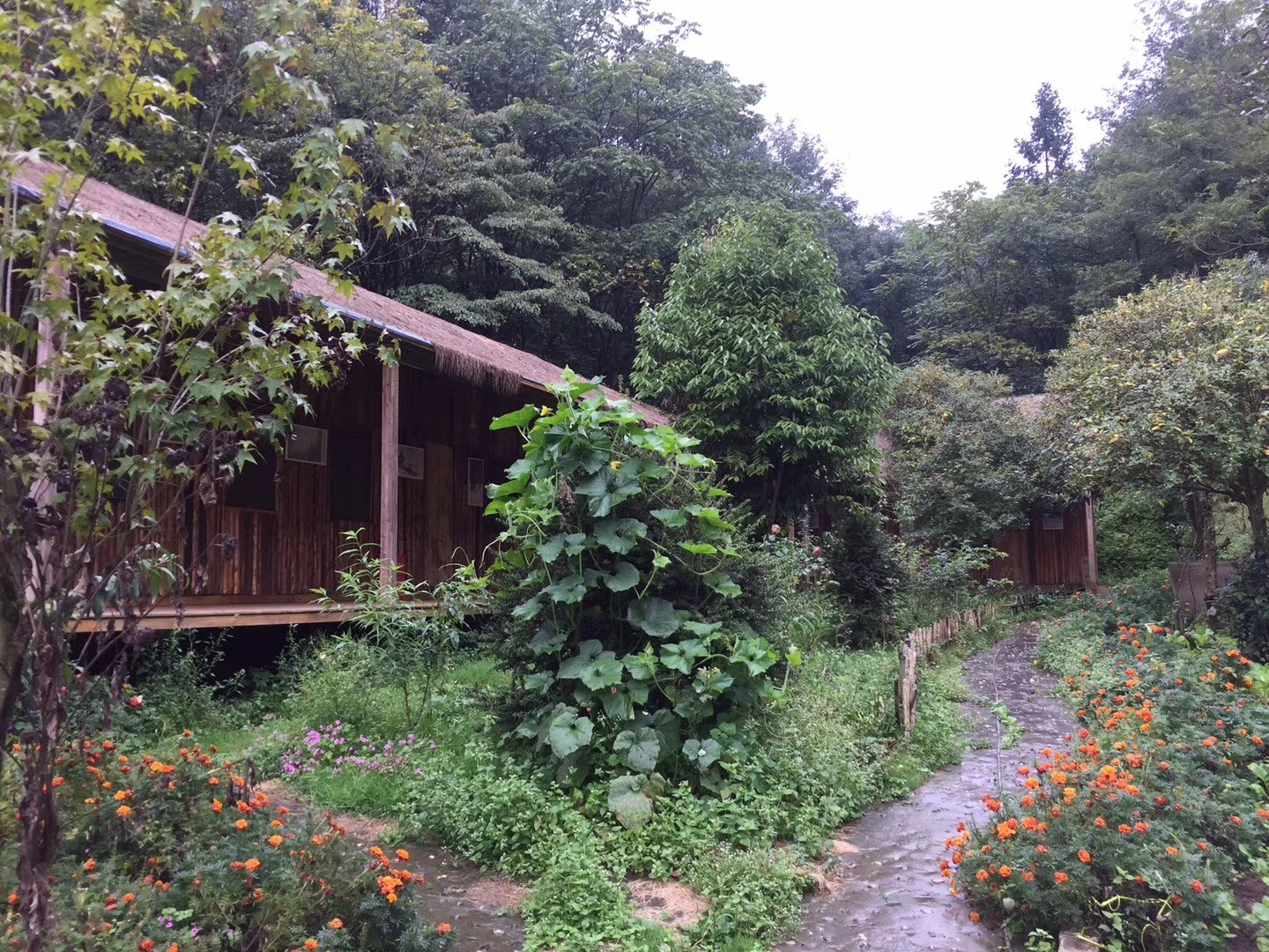 白云恋溪水 天籁养琴心 ——云溪草堂采访记