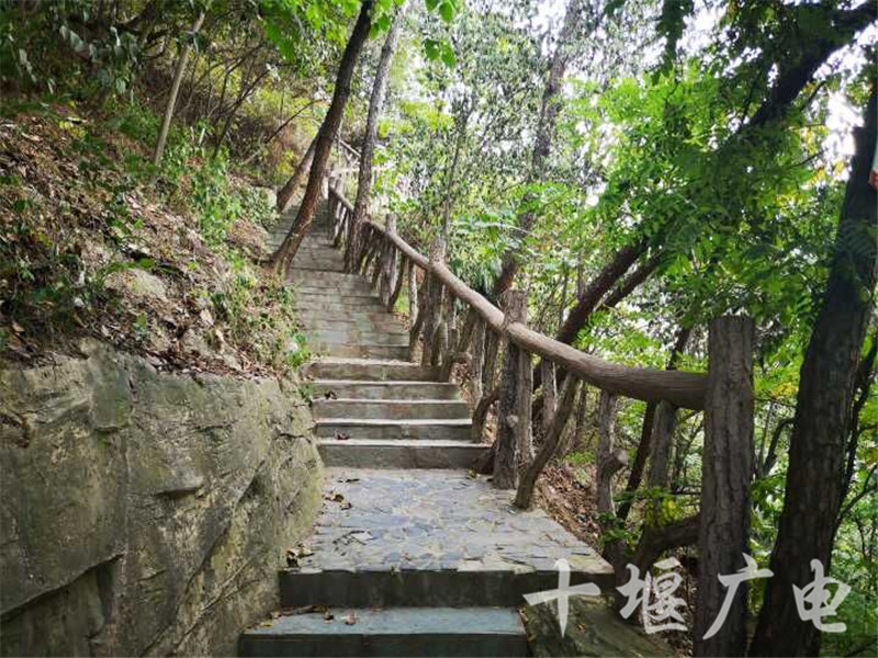 10余条山地游步道供市民进山健身休闲