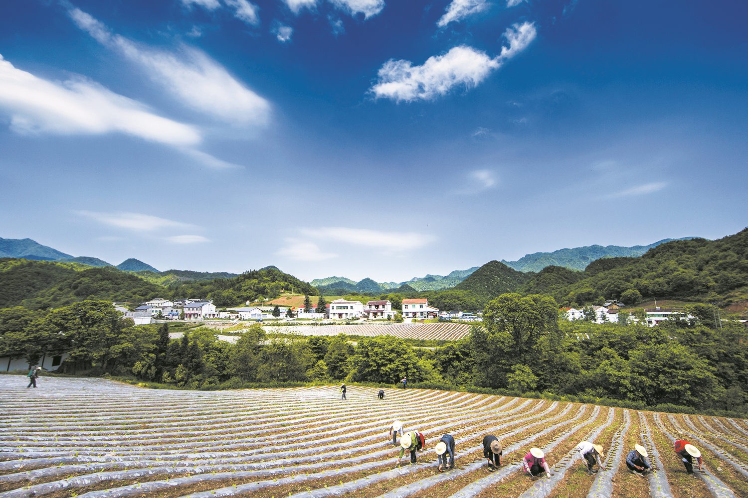 生态建设助推乡村振兴