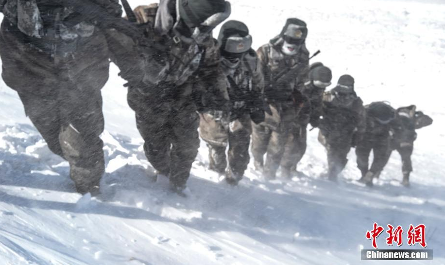 风雪中的边防哨兵图片图片
