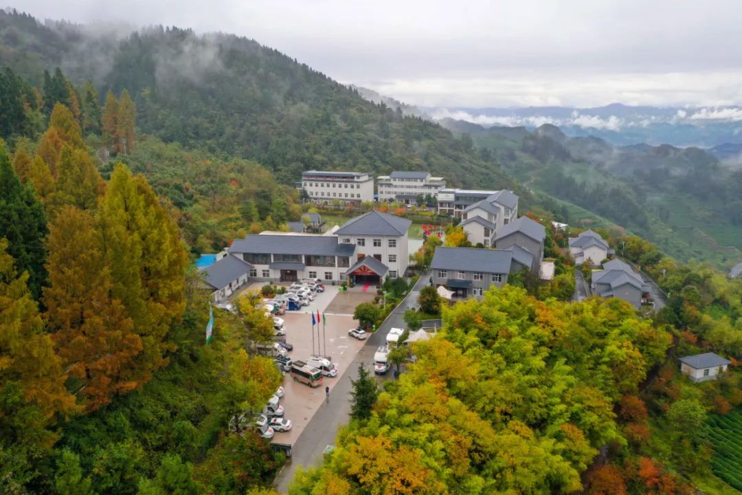 主推茶園觀光,茶文化體驗,度假養生,山地運動休閒等旅遊產品