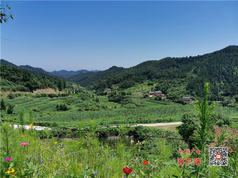 新闻中心近年来,该村积极响应美丽乡村建设号召,大力发展农村特色经济