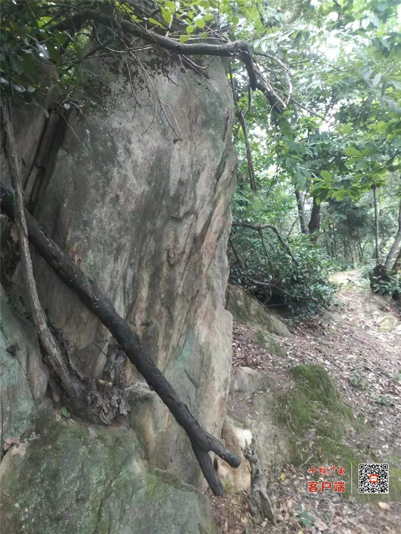 郧阳柳陂镇鼓架山上的红色记忆