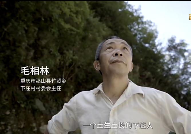 时代楷模毛相林