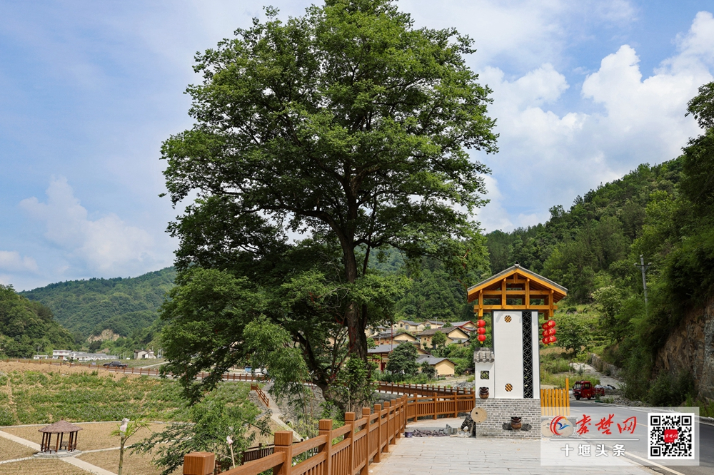 咱乡村| 竹溪鄂坪乡黄花沟村:避暑胜地 天然氧吧-十堰广电网